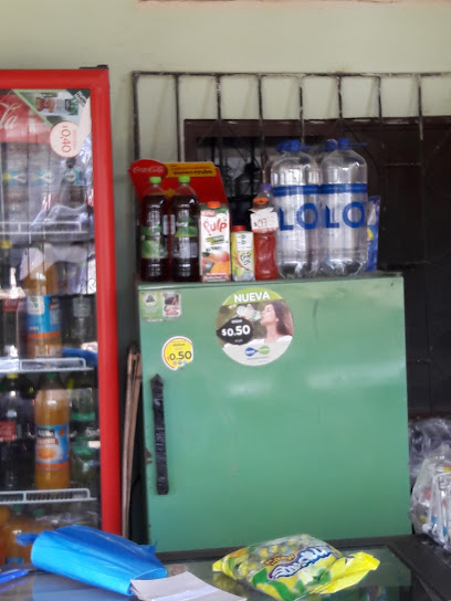 Bienvenidos a FerreteriasEC.com – El Mejor Sitio de Ferreterías en Ecuador 32 Ferretería Jehová Bendice – Santa Lucia